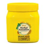 هيربال حملم كريم للشعرالجاف600جرام